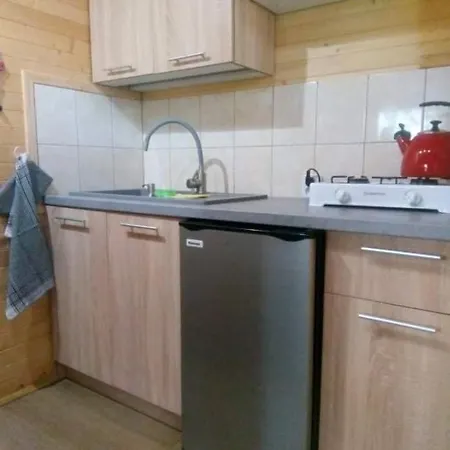 Prázdninový dům Domek Letniskowy 6 Osobowy Drewniany Z Bezposrednim Zejsciem Nad Jezioro Wilczynskie Swietne Basen Pomost Rowerki Wodne I Kajaki Bezplatnie, Duzy Plac Zabaw I Wiele Innych Udogodnien